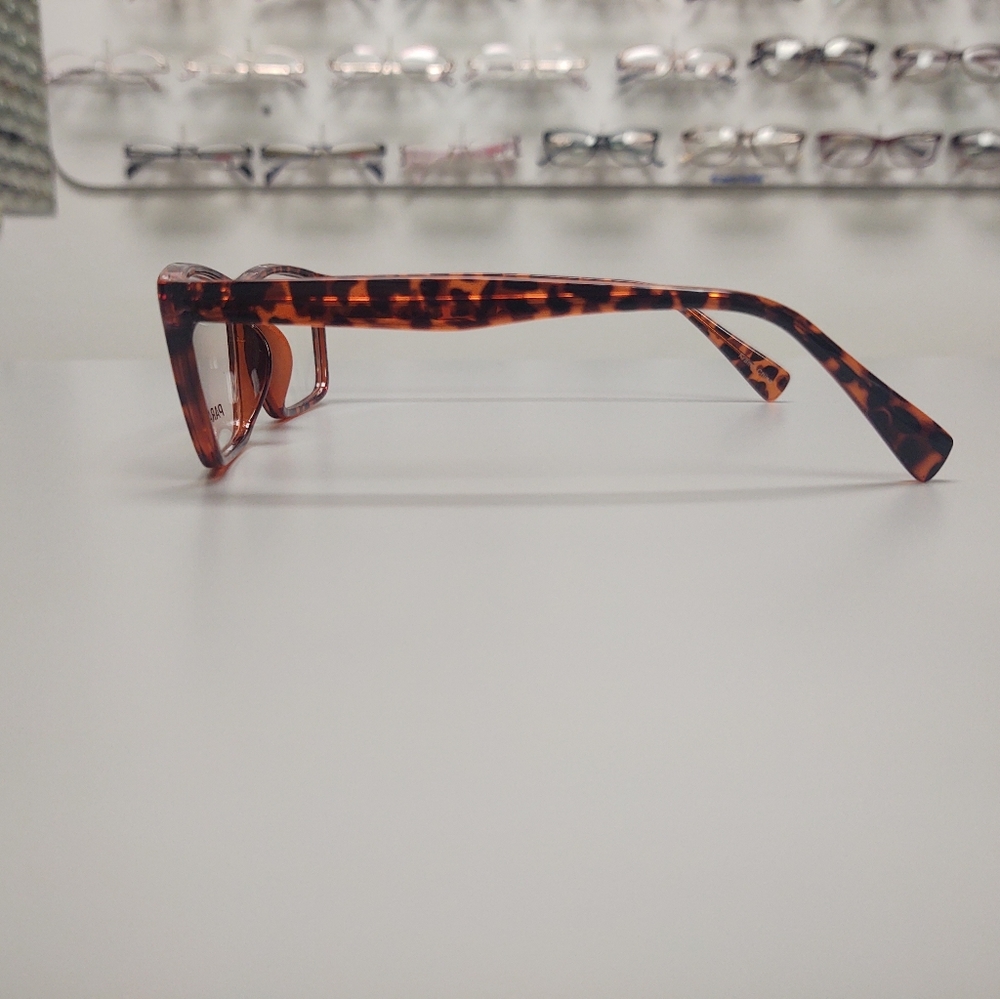 Plastic tortoise shell frame - Picture 5 of 7